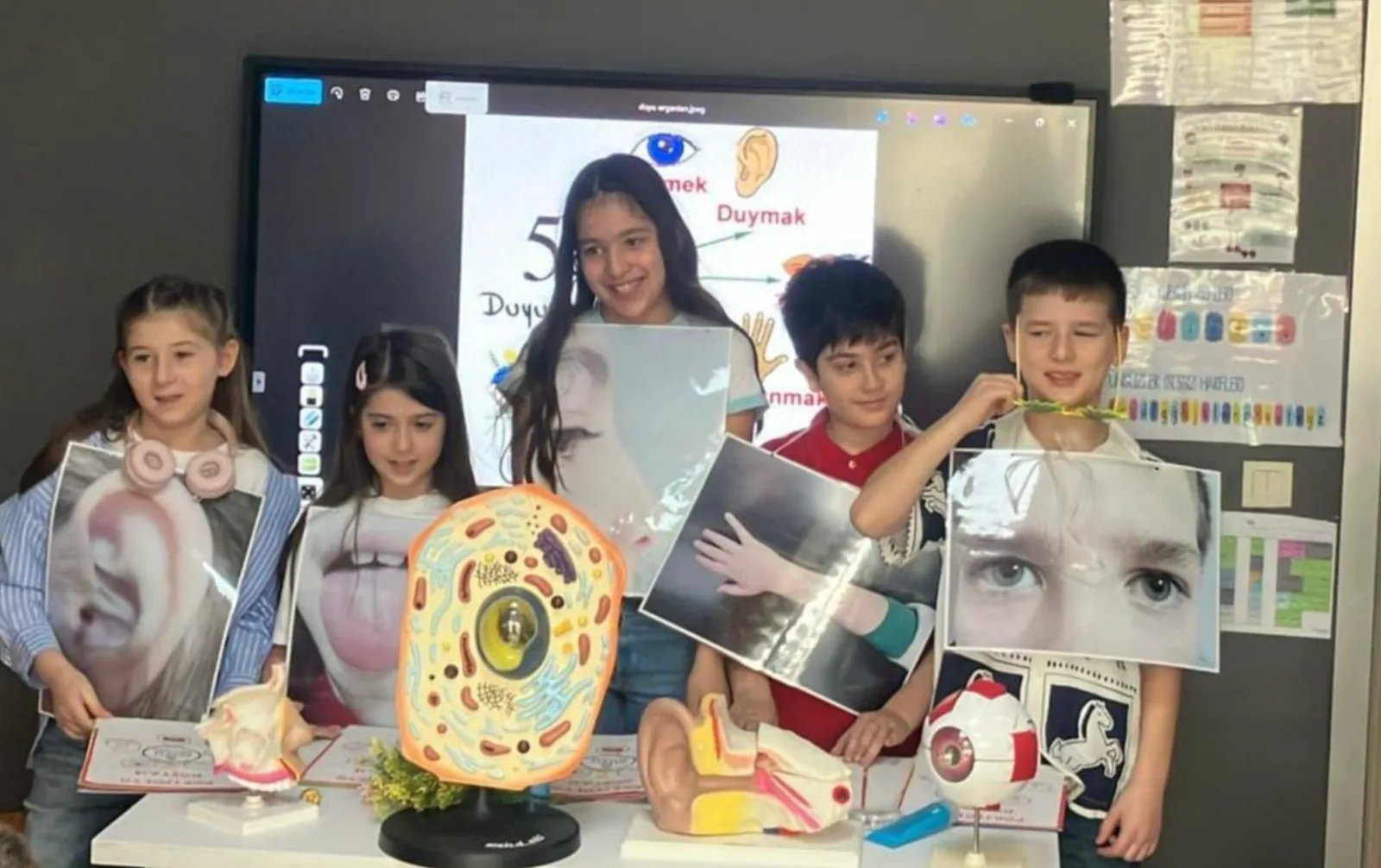GEN Koleji ilkokul öğrencileri portfolyo sunumunda duyu organı maketleriyle